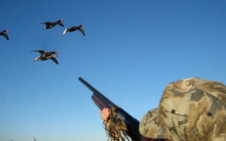 Hunting season opened with 12 offenses recorded