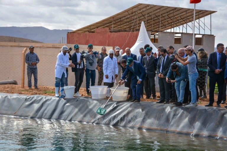 Jerada…launches projects as part of the “Forests 2020-2030” strategy