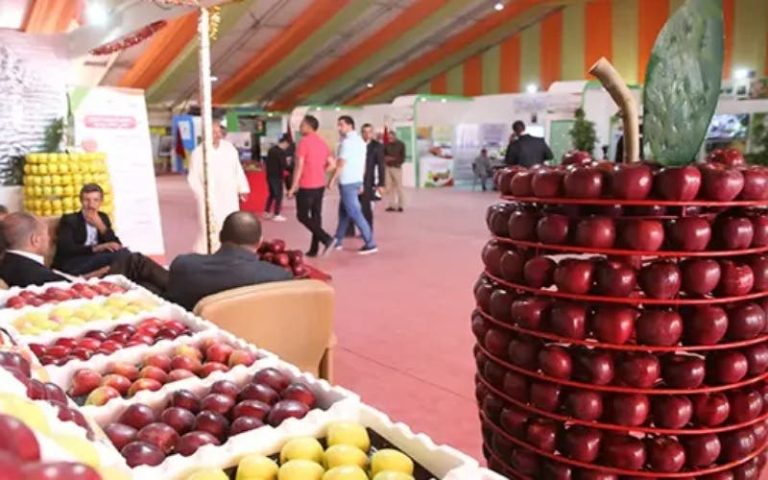 Midelt hosts the National Apple Forum from October 16 to 19