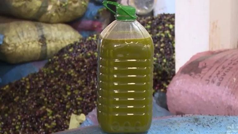 Minister of Agriculture: Moroccans consume 140 thousand tons of olive oil per year and we have resorted to imports to control prices