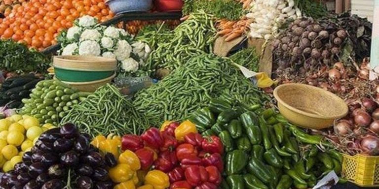 Minister of Agriculture: “The markets have not suffered from the lack of food products despite successive years of drought. »