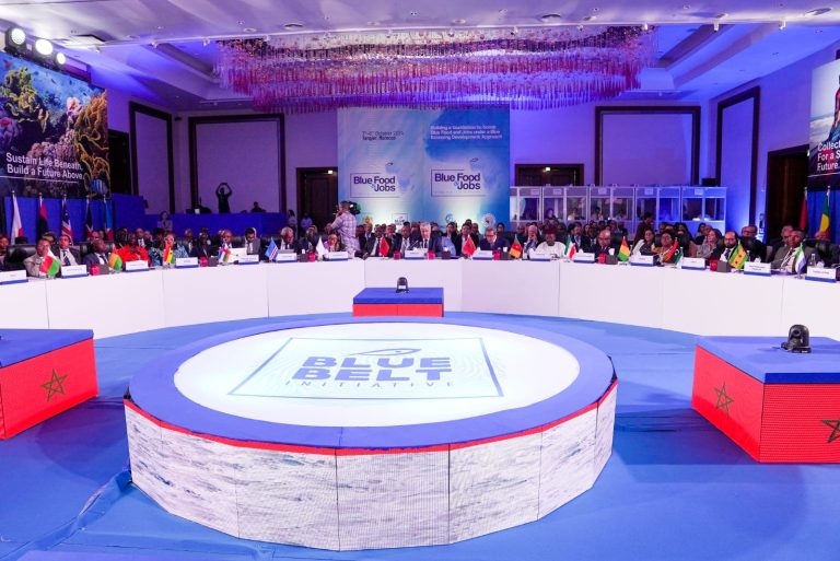 Morocco brings together the world's top fisheries officials to promote the "Blue Belt" initiative