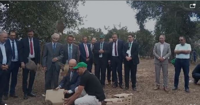 Opening of the 2024/2025 Hunting Season: Vigilance, Responsibility and Safety.