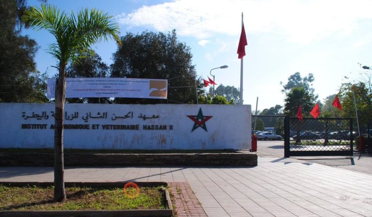 Rabat: Reception in honor of Palestinian students at IAV Hassan II