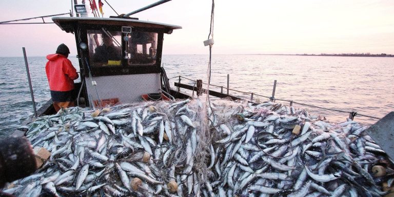 Russia plans to extend maritime fishing agreement with Morocco