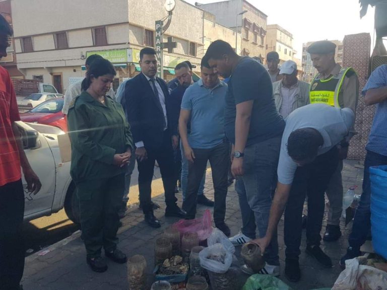 Sidi Bennour.. A “charlatan” was arrested and snake skins and the heads of donkeys and dogs were seized