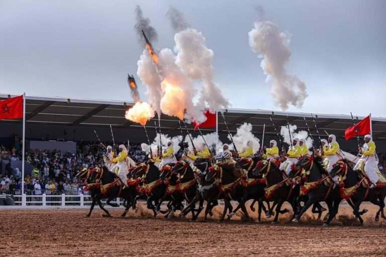 The “DGSN” gallery and windows stole the show at the El Jadida horse show!