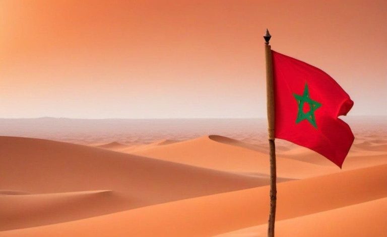The “France 24” channel publishes the entire map of Morocco (photo)