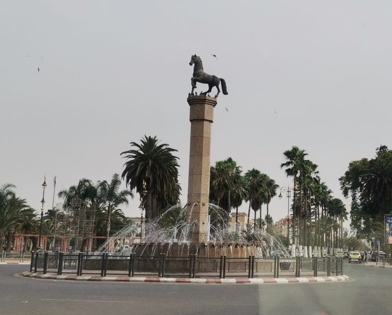 The disastrous situation of the Settat morgue knocks on the door of Parliament
