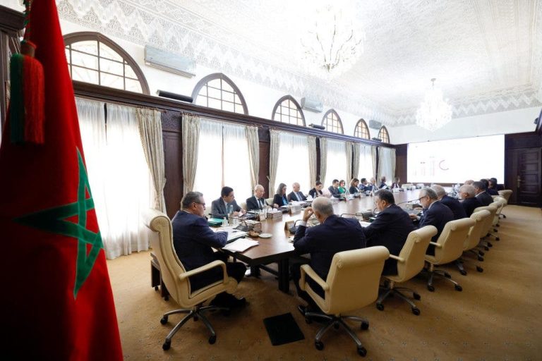 The government determines the arrangements for organizing and maintaining the register of civil real estate companies