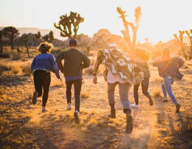 Today is World Youth Day: Young people in figures