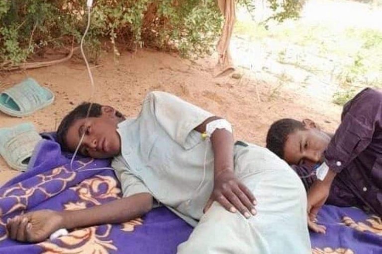 Tunisia fears the spread of malaria in southern Algeria