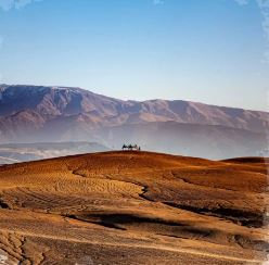 VW TRAIL DESERT AGAFAY: an extraordinary adventure in the heart of agafay