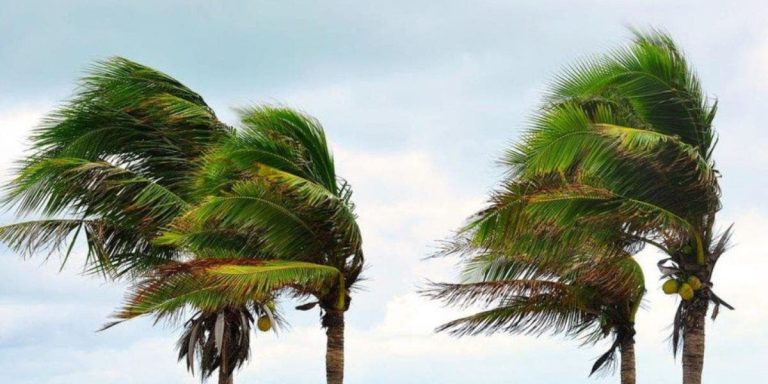 Warning Bulletin: Strong thunderstorms with gusty winds in these areas