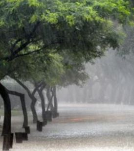 Weather: Scattered light rain