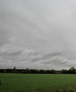 Weather: gray skies and falling temperatures