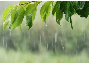 Weather: it's raining