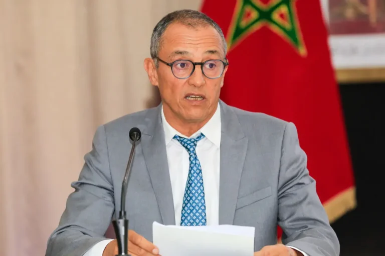 Who is Ahmed Reda Al-Shami, appointed by the king as ambassador to the European Union?