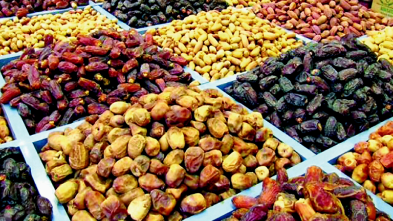 Zagora.. The fifth session of the National Date Festival from November 9 to 11