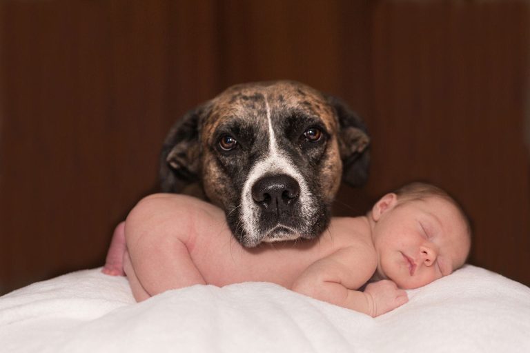 A dog guarded her, leading the Royal Gendarmerie to the body of an infant.