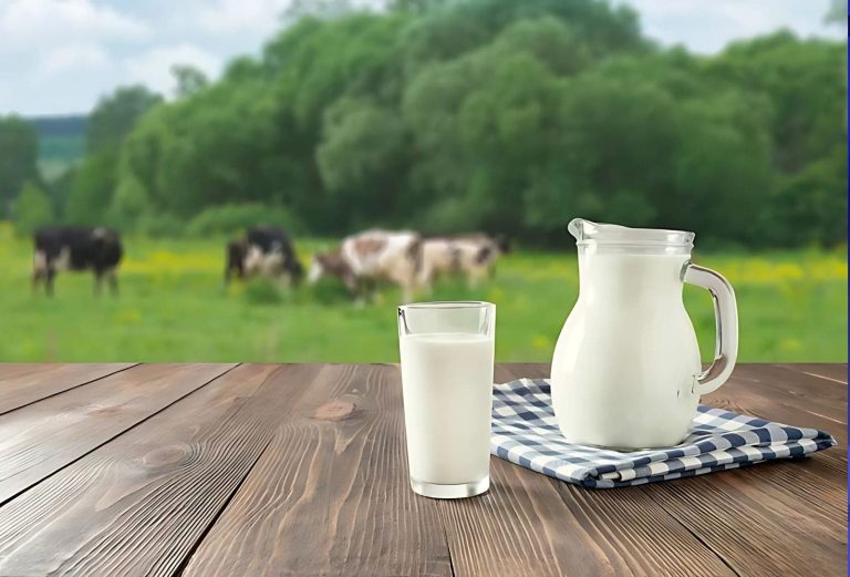 A huge deal… fresh pasteurized Scottish milk enters the Moroccan market