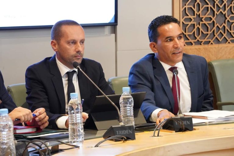 Al-Tahrawi promises to increase the capacity of health training institutes to 1,235 places
