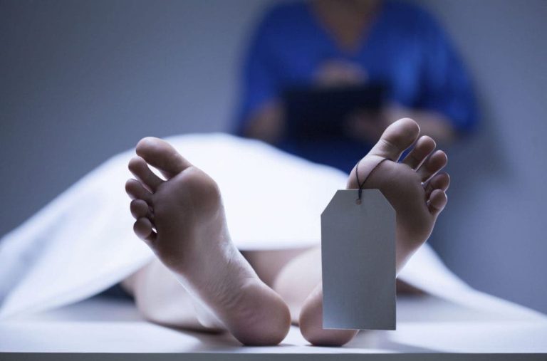 Garsif.. The Royal Gendarmerie investigates the discovery of a body near an olive field