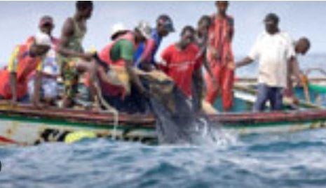 It's not just Morocco that is interrupting European fishing, Senegal too. The reasons