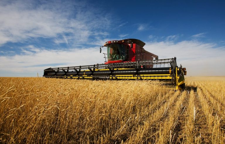 London: Investment opportunities in the Moroccan agricultural sector highlighted