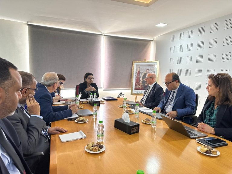 Marine Fishing: A working meeting in Casablanca on “Project Progress”