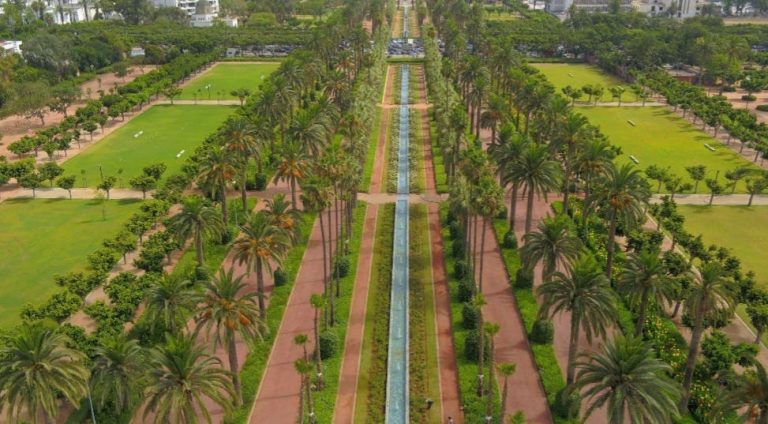 More than 4.43 billion centimeters have been allocated to the rehabilitation of green spaces in Casablanca