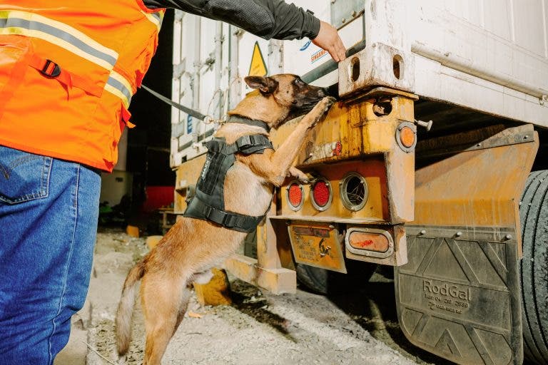 Moroccan miner found hiding under truck in Algeciras port