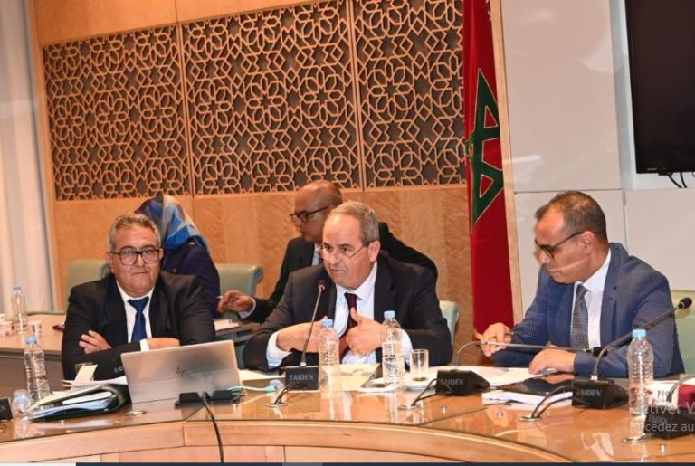 Mr. Azzedine EL MIDAOUI, participates in the discussion of the draft sectoral budget of the Ministry for the 2025 budget year in the House of Representatives.