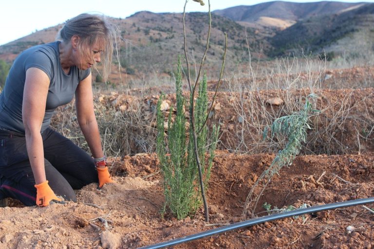 Perma Reef continues to create ancestral 'food forest' domains