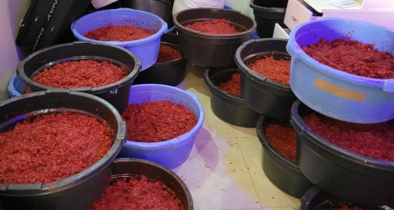 Sidi Rahal Al-Shati: A villa searched and 1,200 kilos of honey seized
