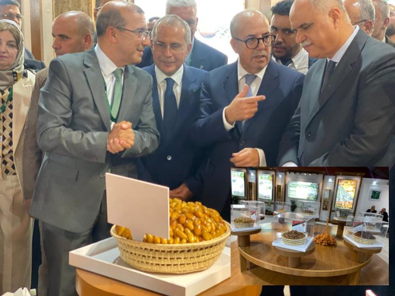 The Eastern region participates in the 13th session of the International Date Show in Erfoud