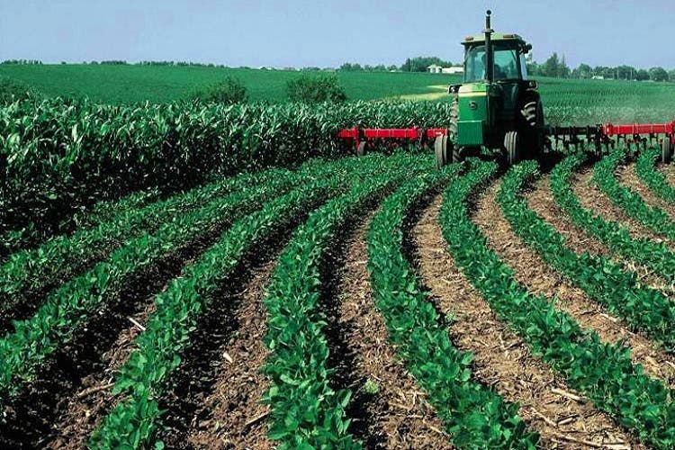 The Ministry of Agriculture announces a promising agricultural campaign in the Fez-Meknes region