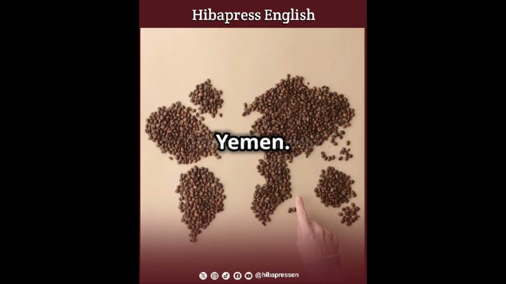 The Story of Coffee: From Bean to Cup