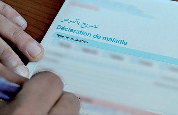 The government council adopts a bill relating to AMO