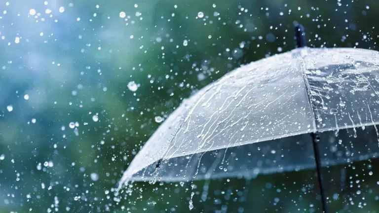 Today's weather: light drops of rain in these areas