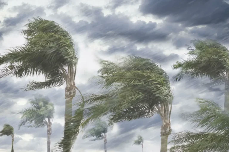 Warning Bulletin: Meteorology warns of thunderstorms and stormy winds