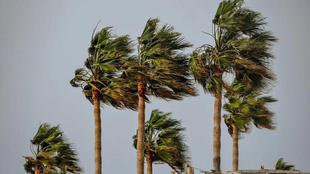 Warning notice: strong wind gusts and dust flying in these areas