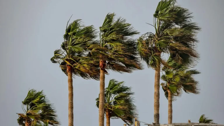 Warning notice: strong wind gusts and dust flying in these areas