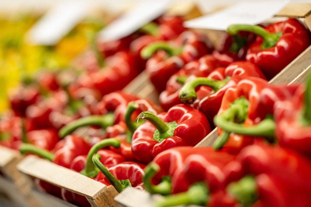 With record exports… Moroccan pepper invades European markets