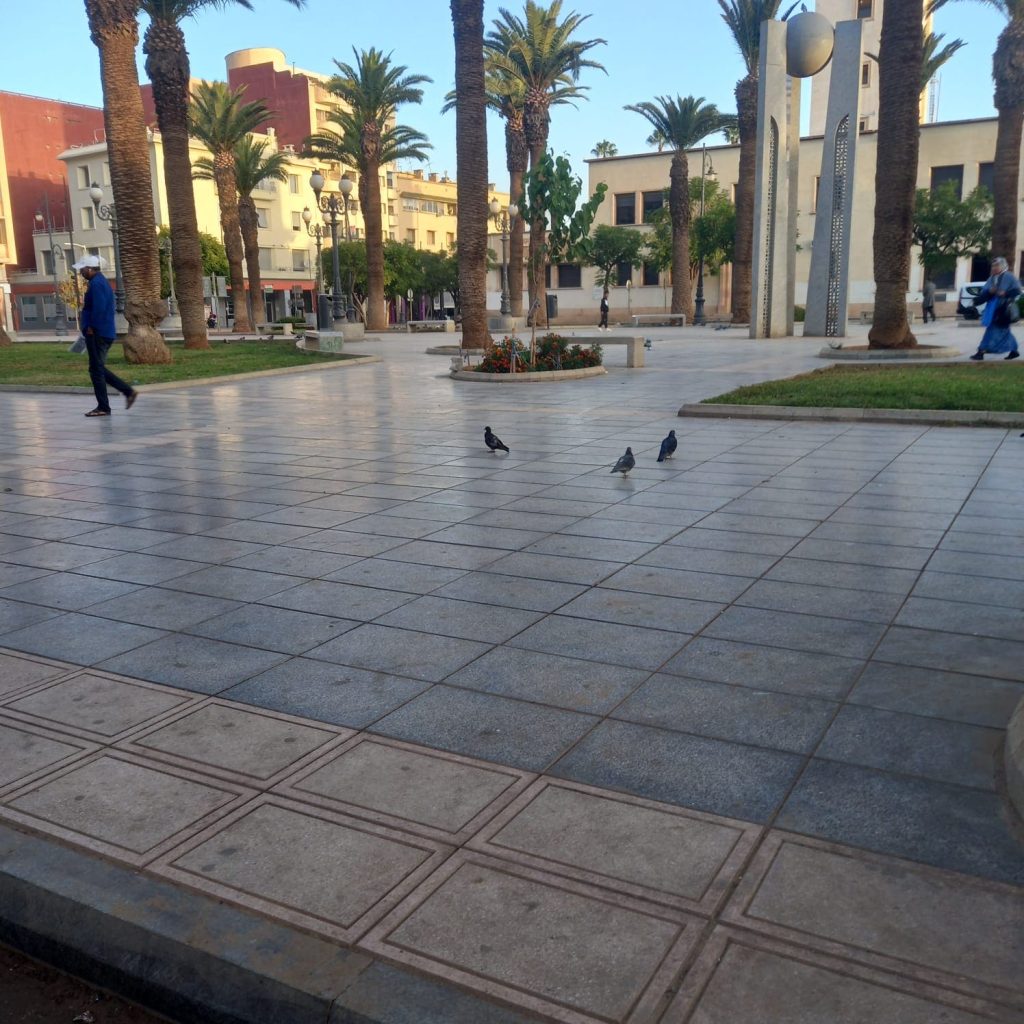 Oujda.. A campaign to clean and free the public domain in the most important streets and alleys