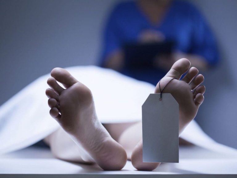 A wild boar ends the life of a young woman who heads her family in Marrakech