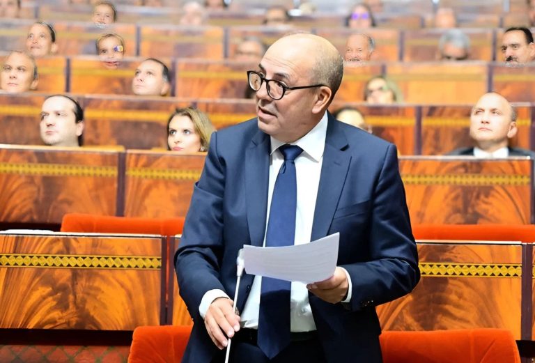 Al-Bawari: “Part of the injection from the dam was allocated for irrigation of agricultural land. »