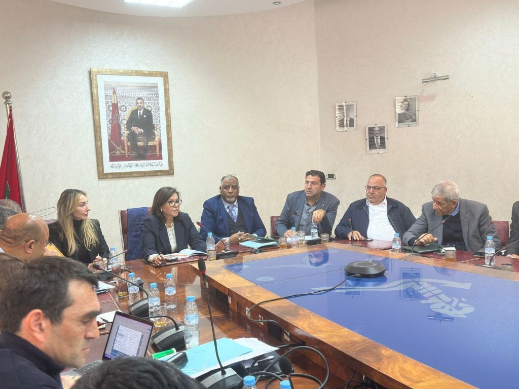 Driush: Small pelagic fish represent 80% of national catches