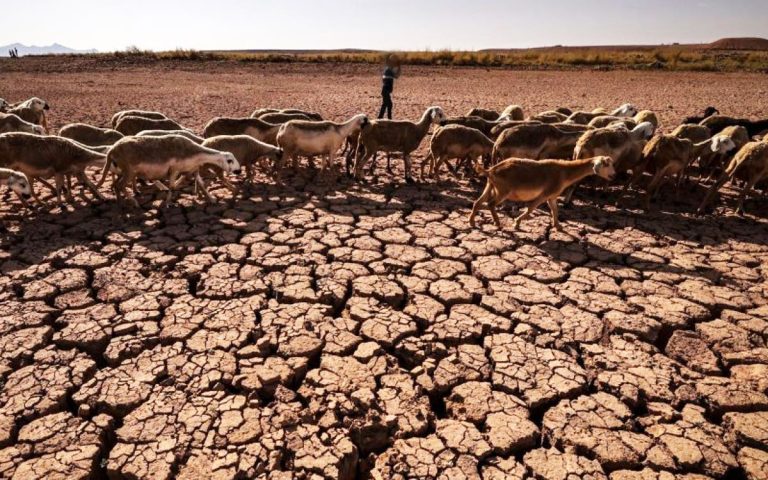 Drought ravages Morocco… Water reserves continue to decline after 7 years