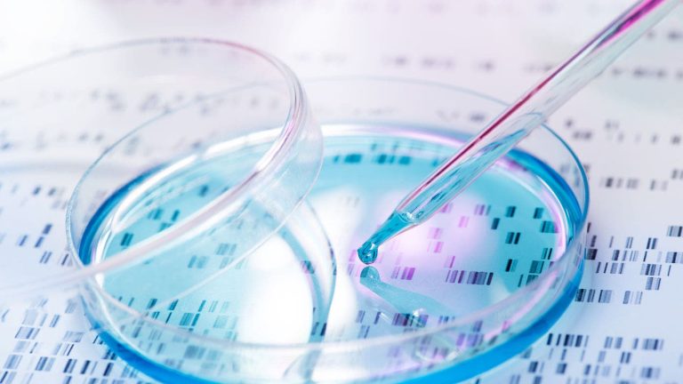 Family Code.. The Scientific Council rejects “genetic expertise for lineage rights”
